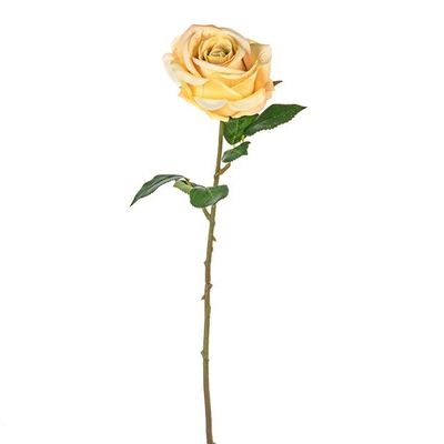 Fiesta Rose Yellow 47Cm