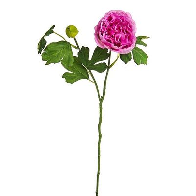 Dolly Ranunculus Spray Purple 42Cm