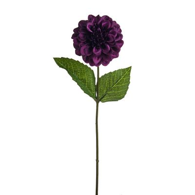 Olivia Zinnia Stem Purple 46Cm