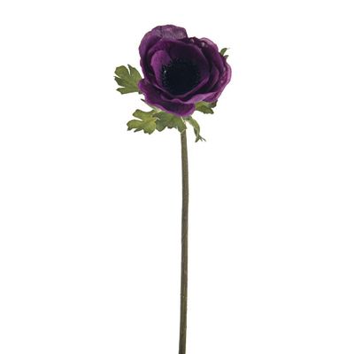 Olivia Anemone Stem Purple 38Cm