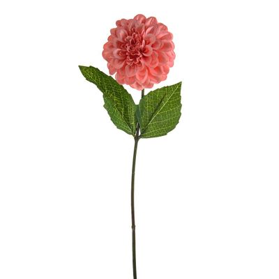 Olivia Zinnia Stem Coral 46Cm
