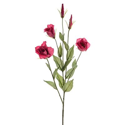 Olivia Lisianthus Spray Burgundy 78Cm
