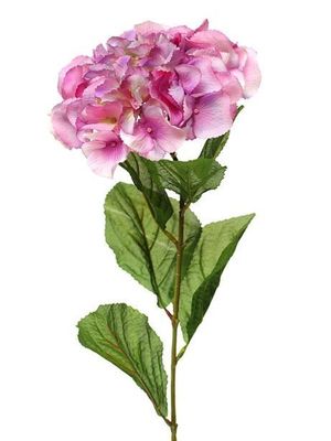 Hazy Days Hydrangea Pink 72Cm