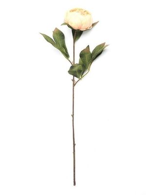 Eternity Peony Stem Antiq Peach