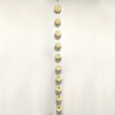 Flower Garland Cream 11x11x180cm