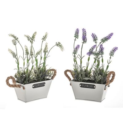 Potted Lavender Flowers Metal Trough 2 Assorted