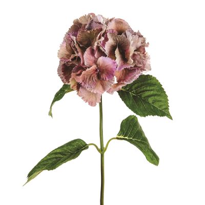 Hydrangea Dusky Pink 74Cm