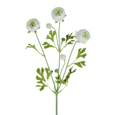 Ranunculus Spray Cream 65Cm