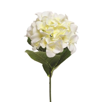 Hydrangea Short Stem Cream 47C
