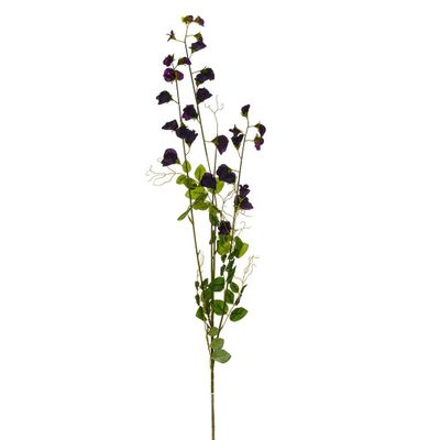 Sweetpea Spray Plum 119Cm