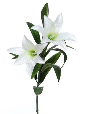 Easter Lily Spray 80Cm