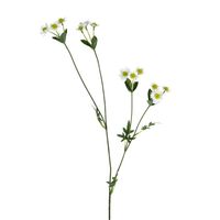 Daisy Mini Spray 59Cm