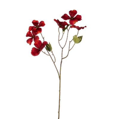 Harvest Dogwood Red 61Cm