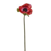 Anemone Stem Red