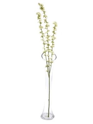 Hedgerow Berry Spray Crm 104Cm