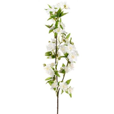 Apple Blossom Cream