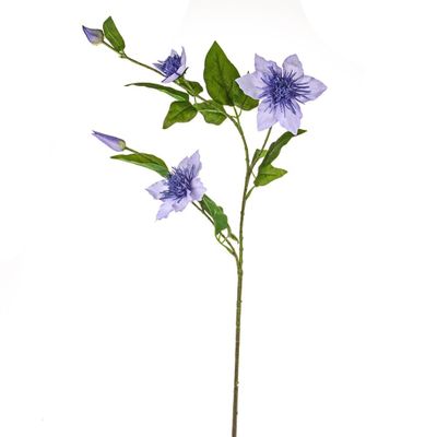 Elsa Clematis Lilac 79Cm