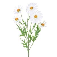 Daisy Spray White 66Cm