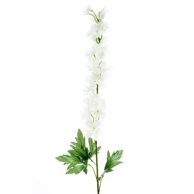 Delphinium Cream 90Cm
