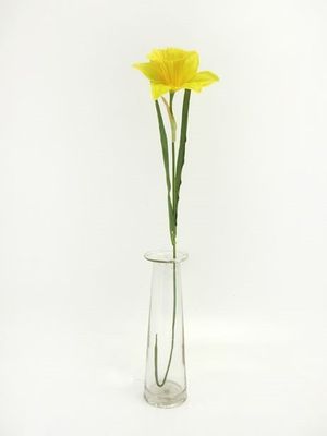 Daffodil