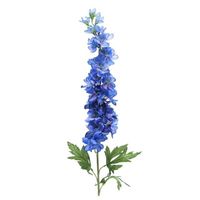 Delphinium Blue 86Cm