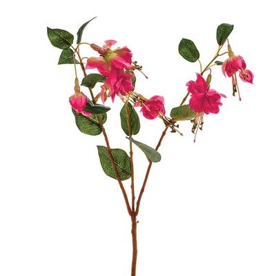 Fuchsia Spray Light Pink