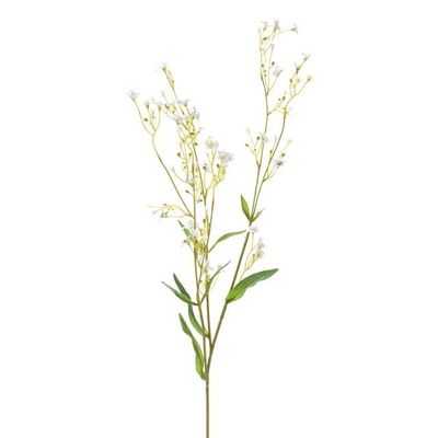 Gypsophila White