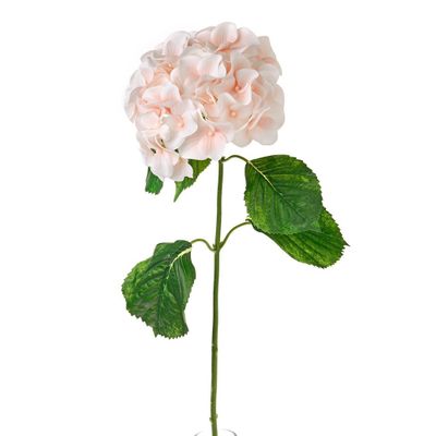 Luna Hydrangea Peach 75Cm