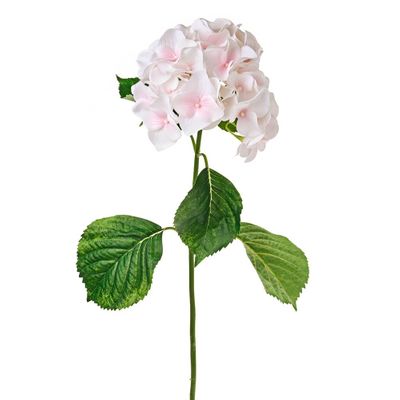 Luna Hydrangea Pink 75Cm