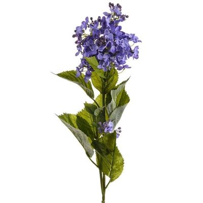 Lilac Purple 76Cm
