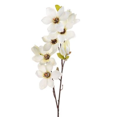 Magnolia Spray Cream