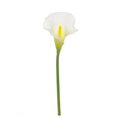 Calla Lily Cream Med Head 66Cm