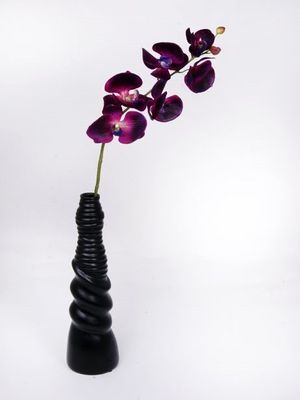 Premier Orchid Purple 75Cm