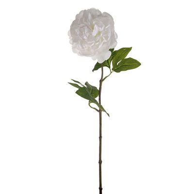 SORBET SINGLE PEONY STEM WHITE 60CM