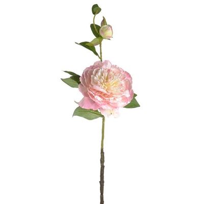 Peony Pretty Soft Pink 60Cm