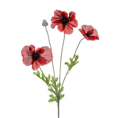 Poppy Flame Red