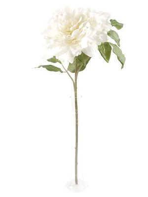 Peony Stem Large Cream 69Cm