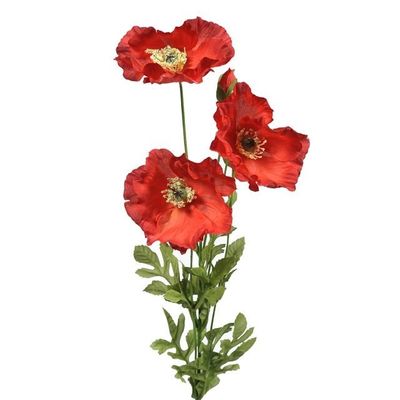 Poppy 3 Heads 2 Buds Red