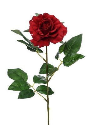 Premium Rose Medium Red