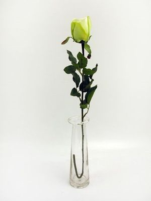 Prize Rose Bud Cream