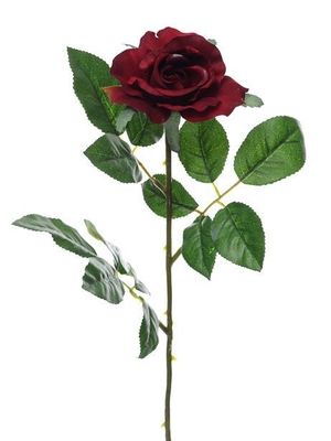 Premium Rose Medium Burgundy
