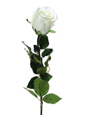 Prize Rose Bud Cream