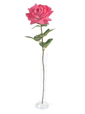 Rose Pippa Open Pink 68Cm