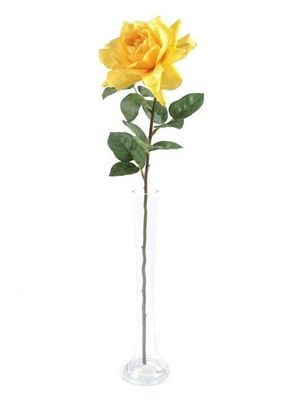 Rose Pippa Open Yellow 68Cm