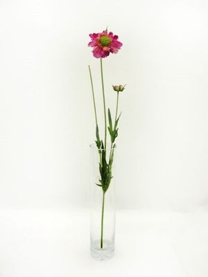 Scabiosa Spray Pink