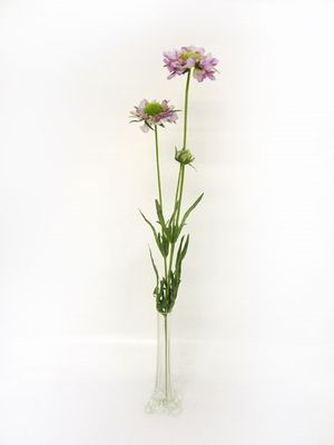 Scabiosa Spray Lilac