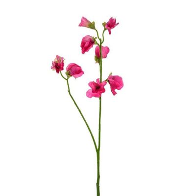 Sweetpea Stem Dark Pink