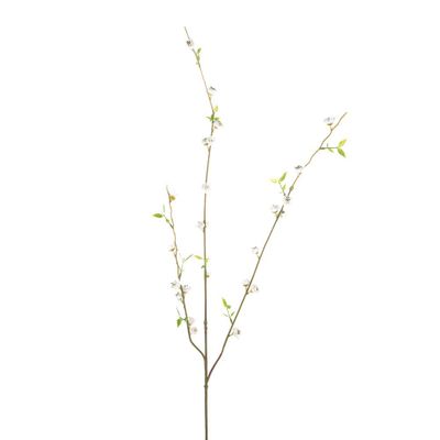 Blossom Bud Spray Cream 83Cm