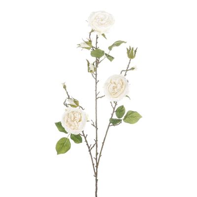 Cabbage Rose Spray Cream 91Cm