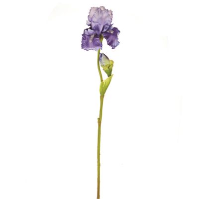 Iris Spray Purple 79Cm